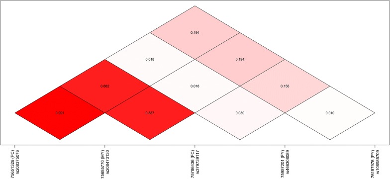 Fig. 2