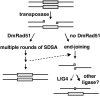 F<sc>igure</sc> 3.—