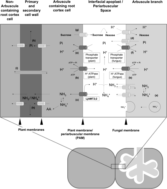 Figure 9.