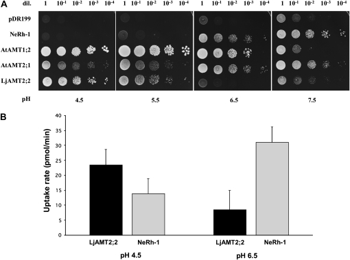 Figure 4.