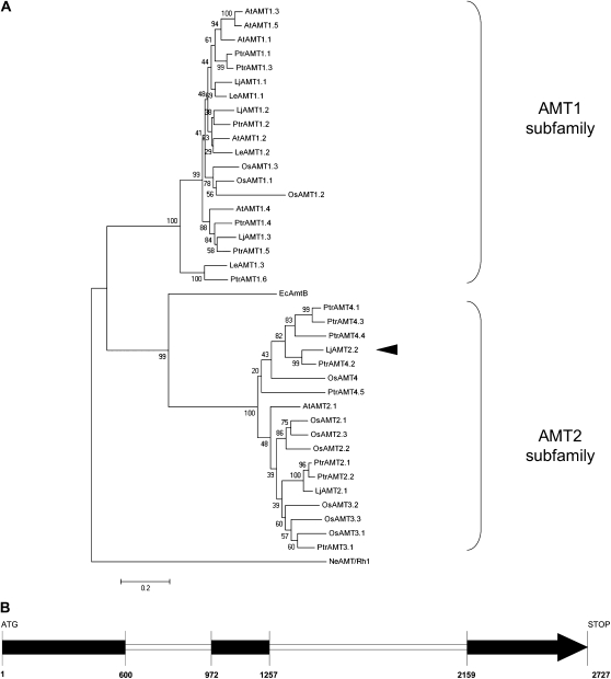 Figure 1.