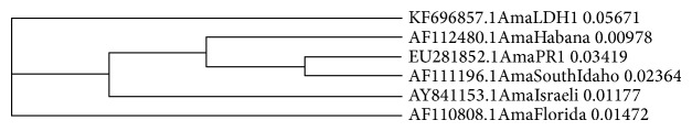 Figure 7