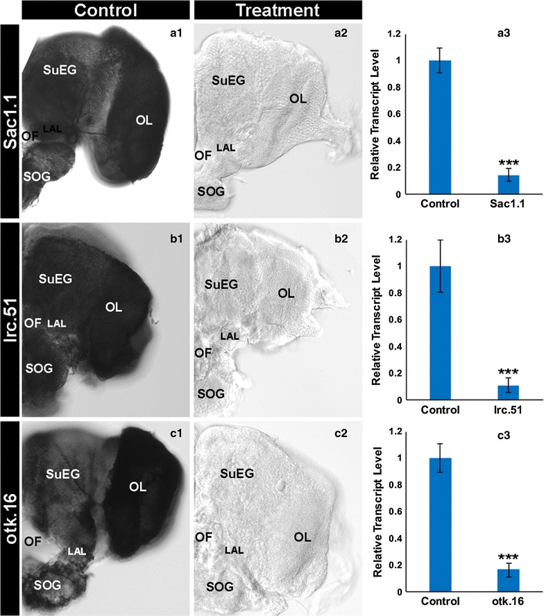 Fig. 4