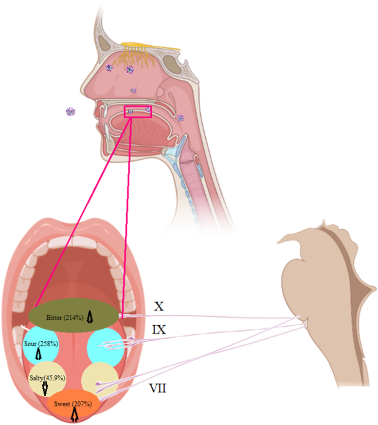 Fig. 3