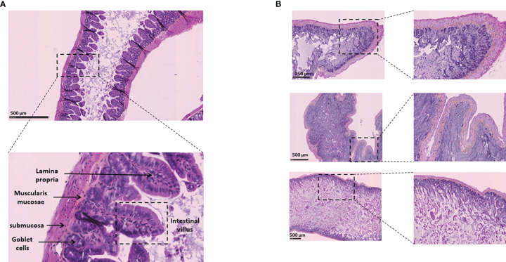 Figure 11