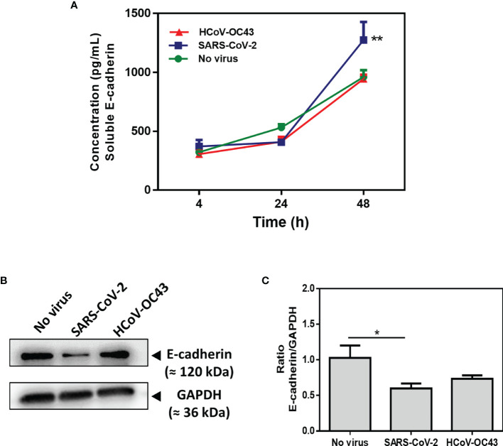 Figure 6