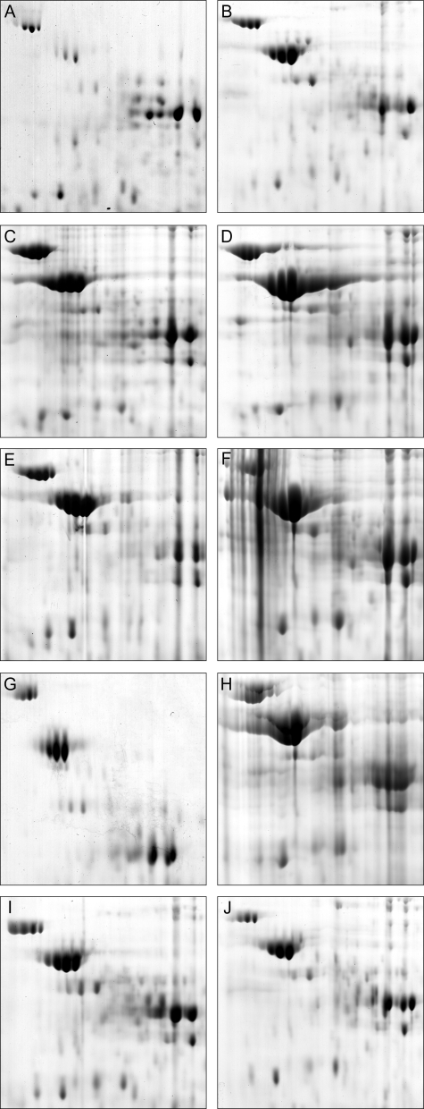 FIG. 7.