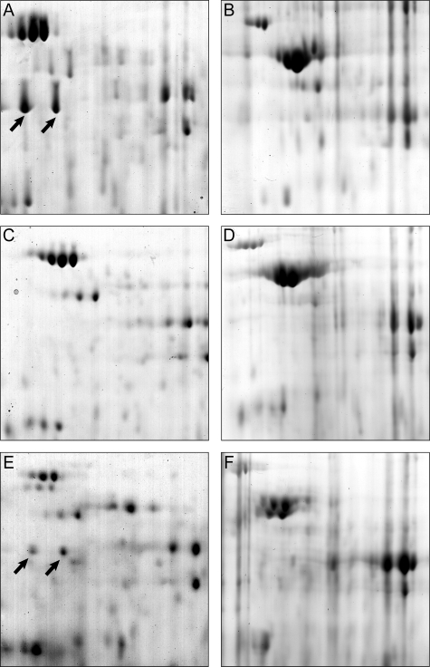 FIG. 6.