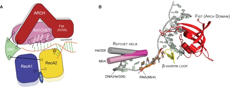 Figure 6.