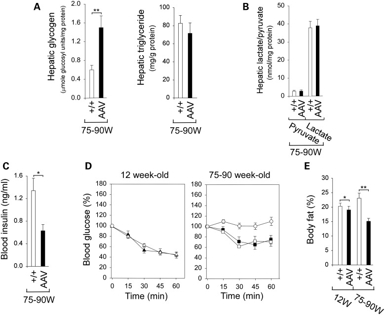 Figure 2.