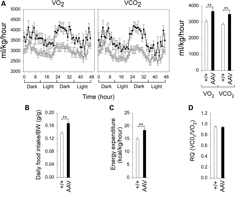 Figure 3.