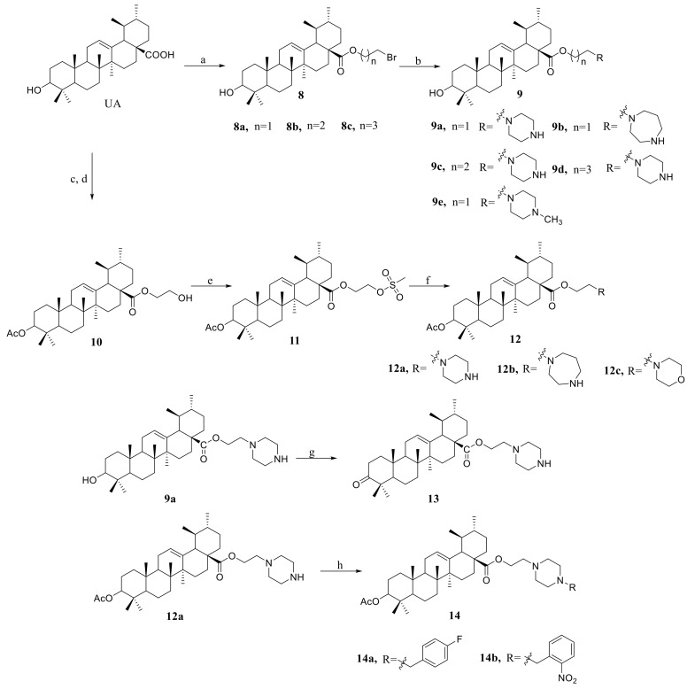 Scheme 2