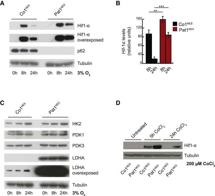 Figure 6