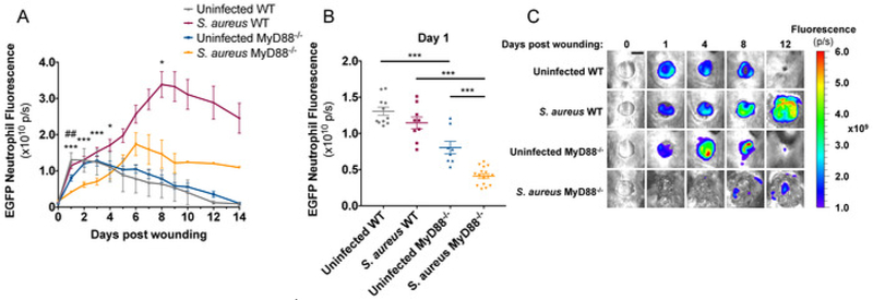 Figure 4: