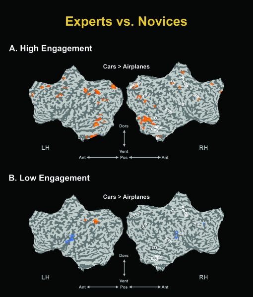 Figure 7.