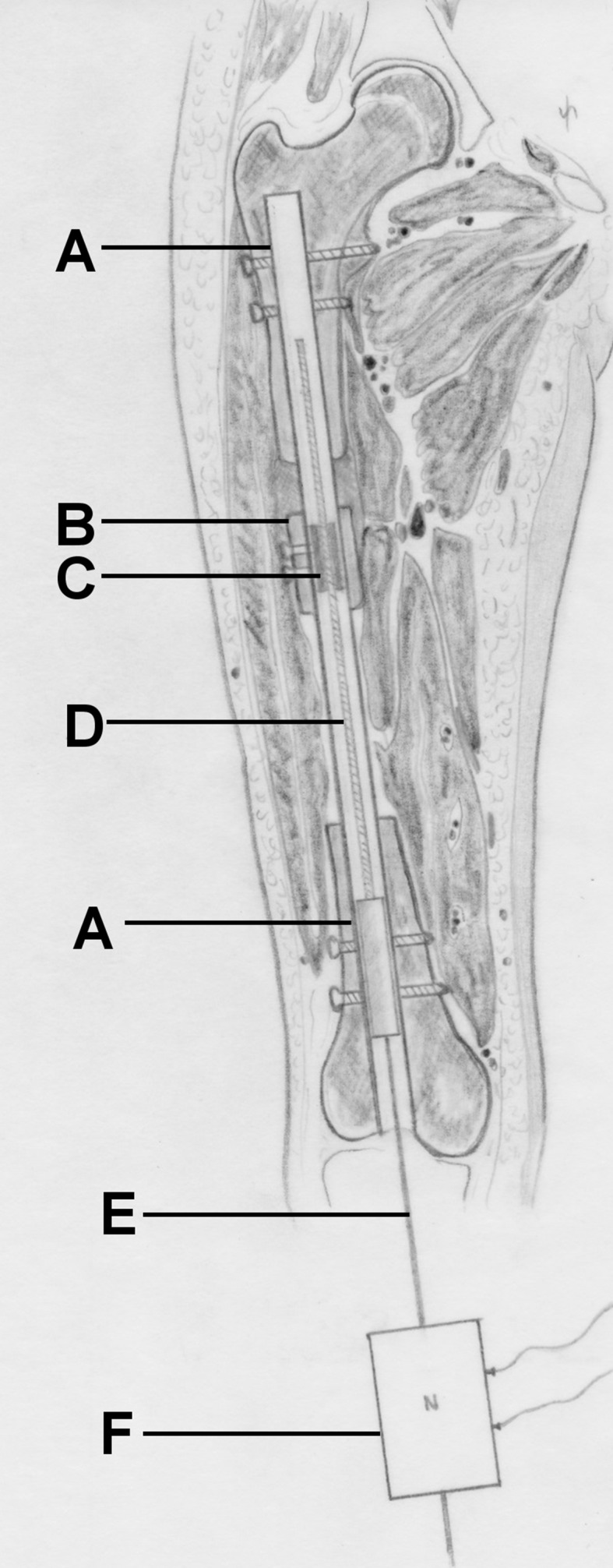 Fig. 4