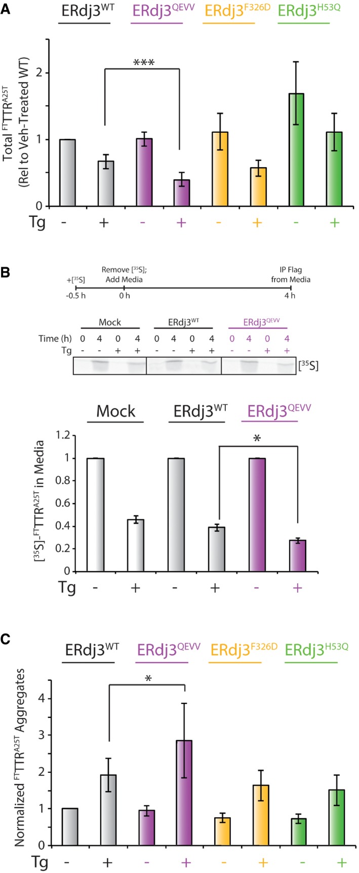 Figure EV4