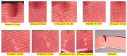 Figure 21
