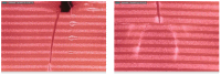 Figure 22