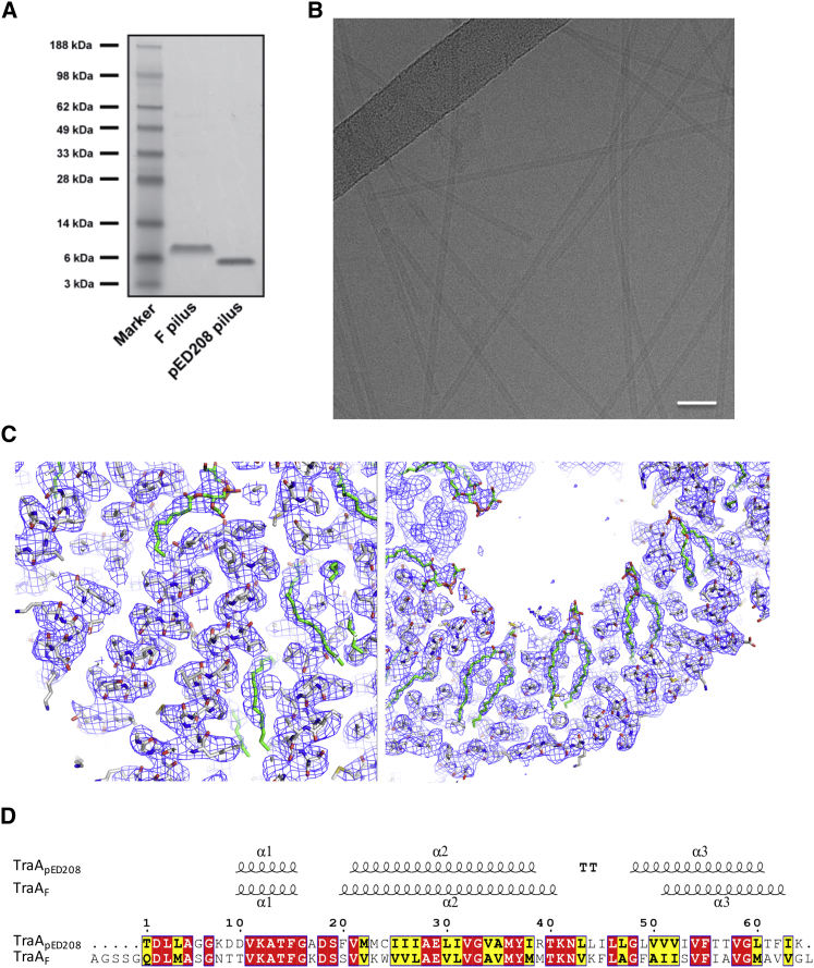 Figure 1