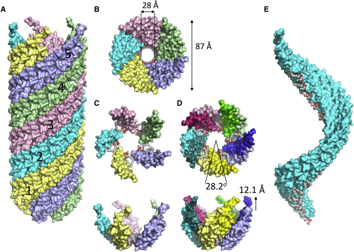 Figure 2