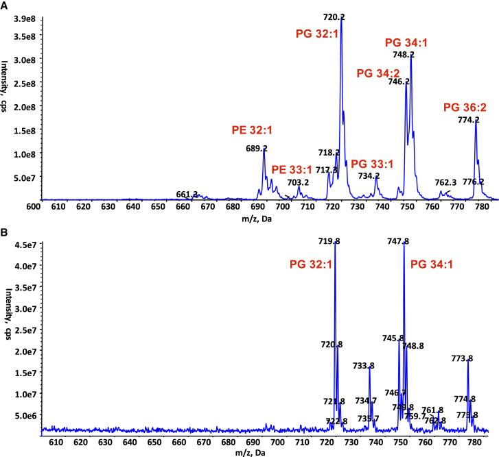 Figure 4