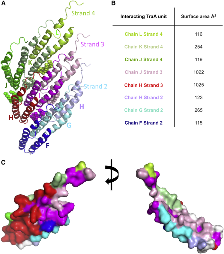 Figure 6