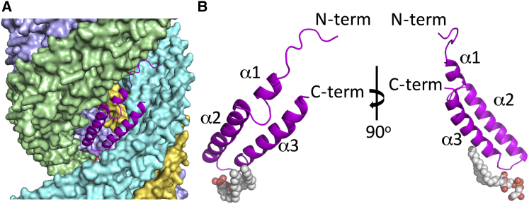 Figure 3