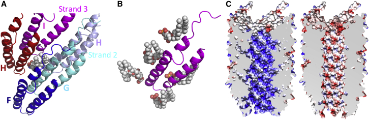 Figure 5