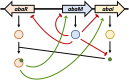 FIG 7