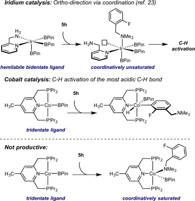 Scheme 4