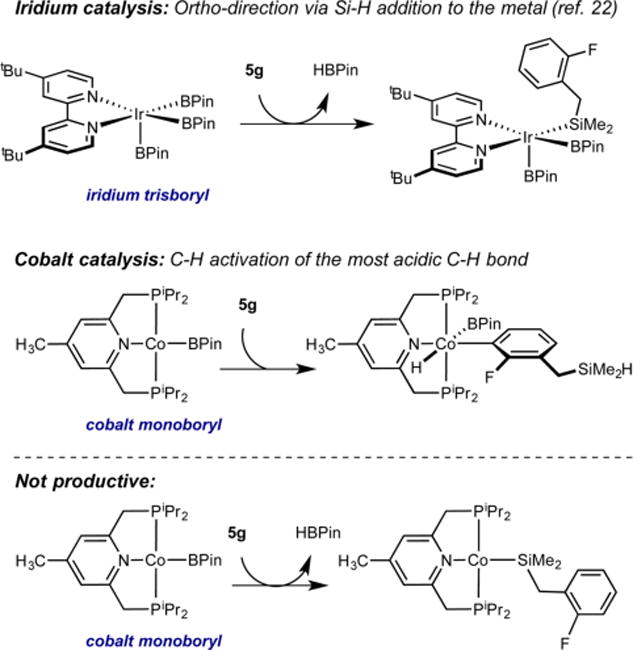 Scheme 3