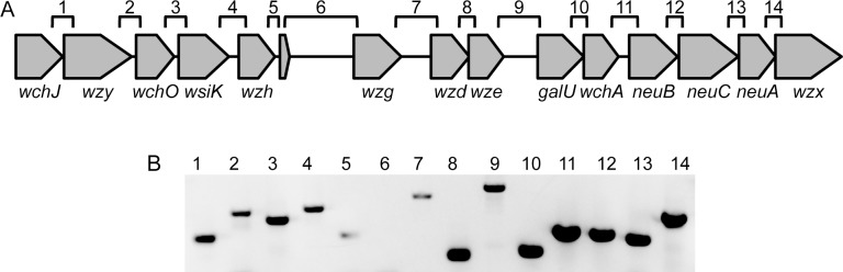 Fig 2