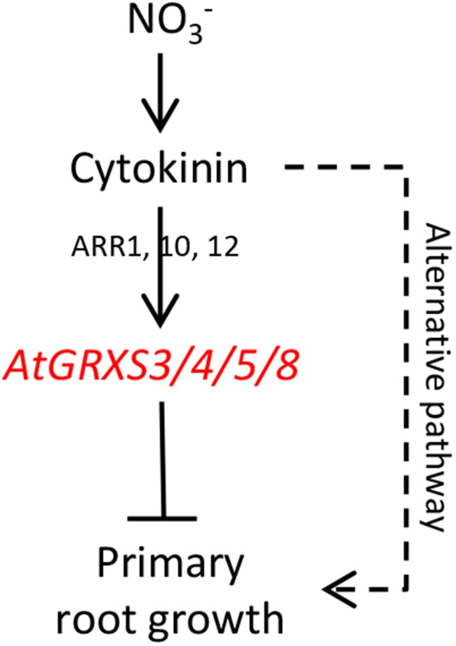 Figure 7.