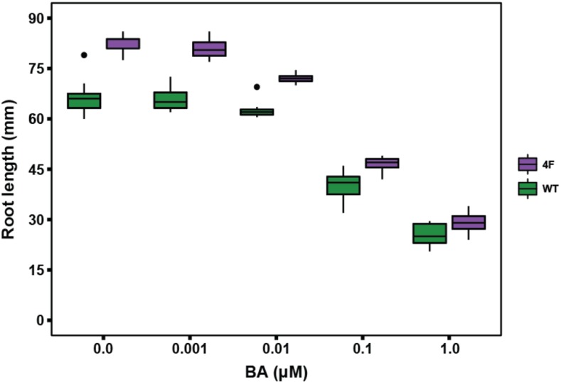 Figure 6.