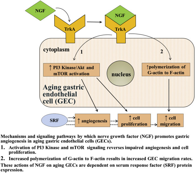 Figure 11