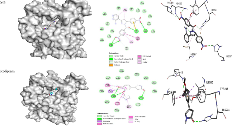 Figure 4