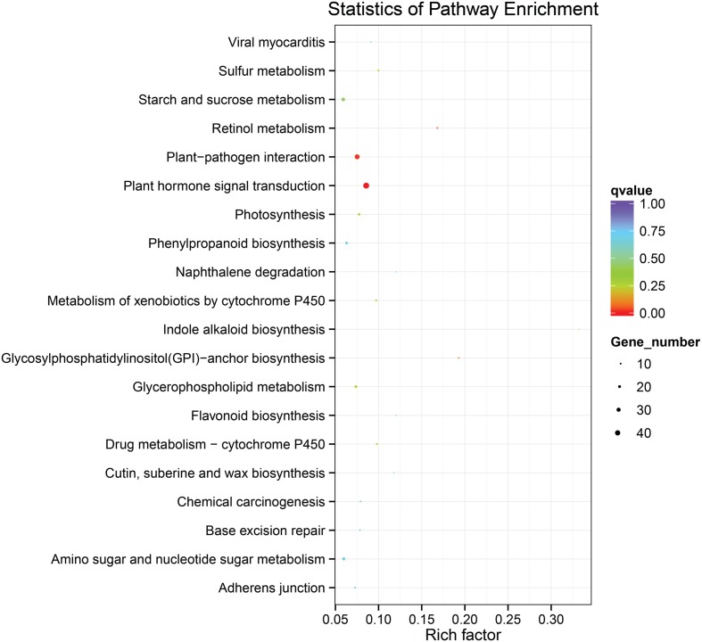 FIGURE 4