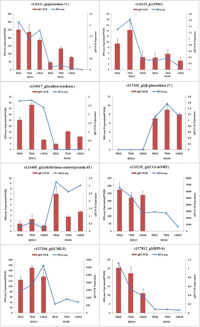 FIGURE 2