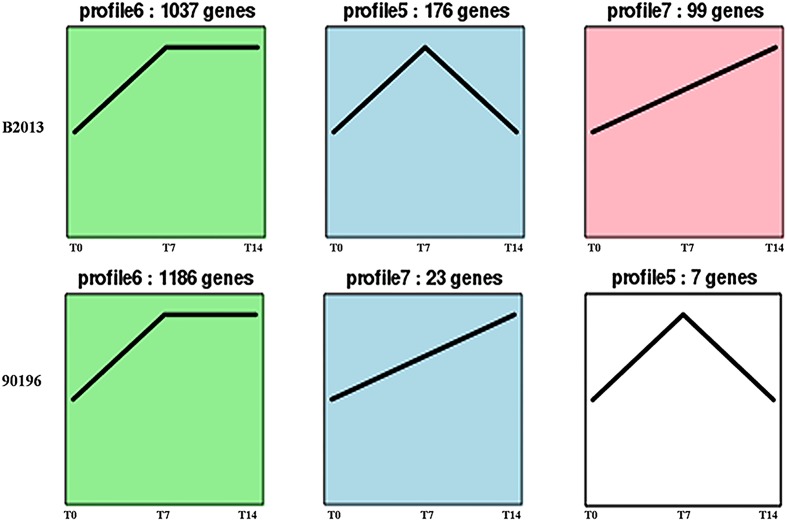 FIGURE 3