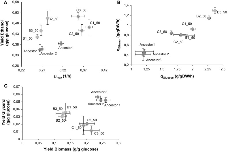 Fig. 6