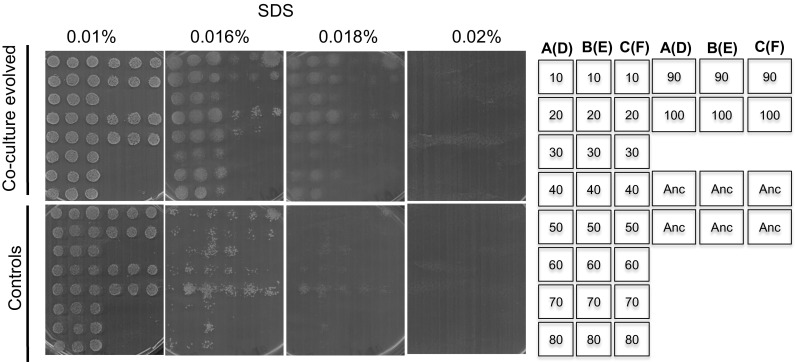 Fig. 3