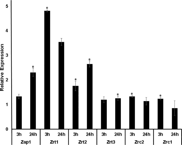 Figure 2