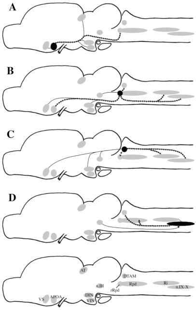 Fig. 10