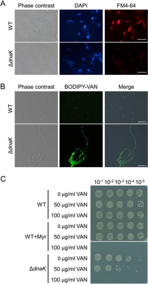 FIG 8