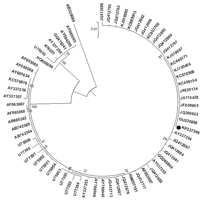 Figure 3