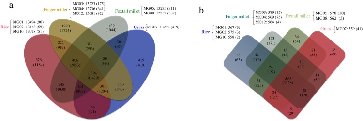 Fig 4