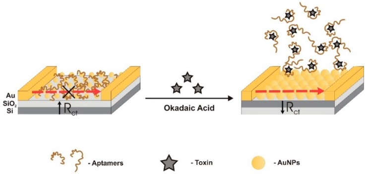 Figure 12