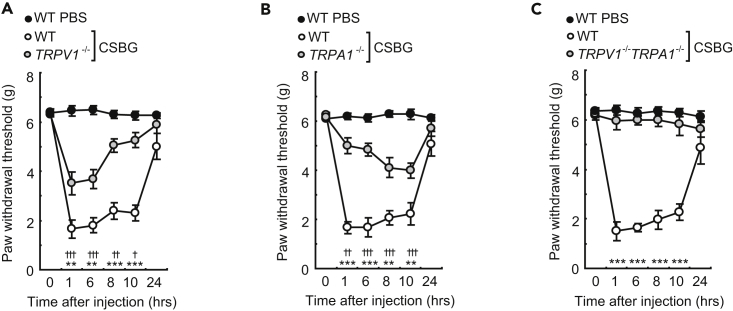 Figure 5