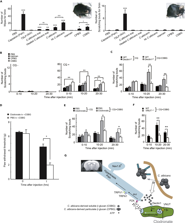 Figure 6